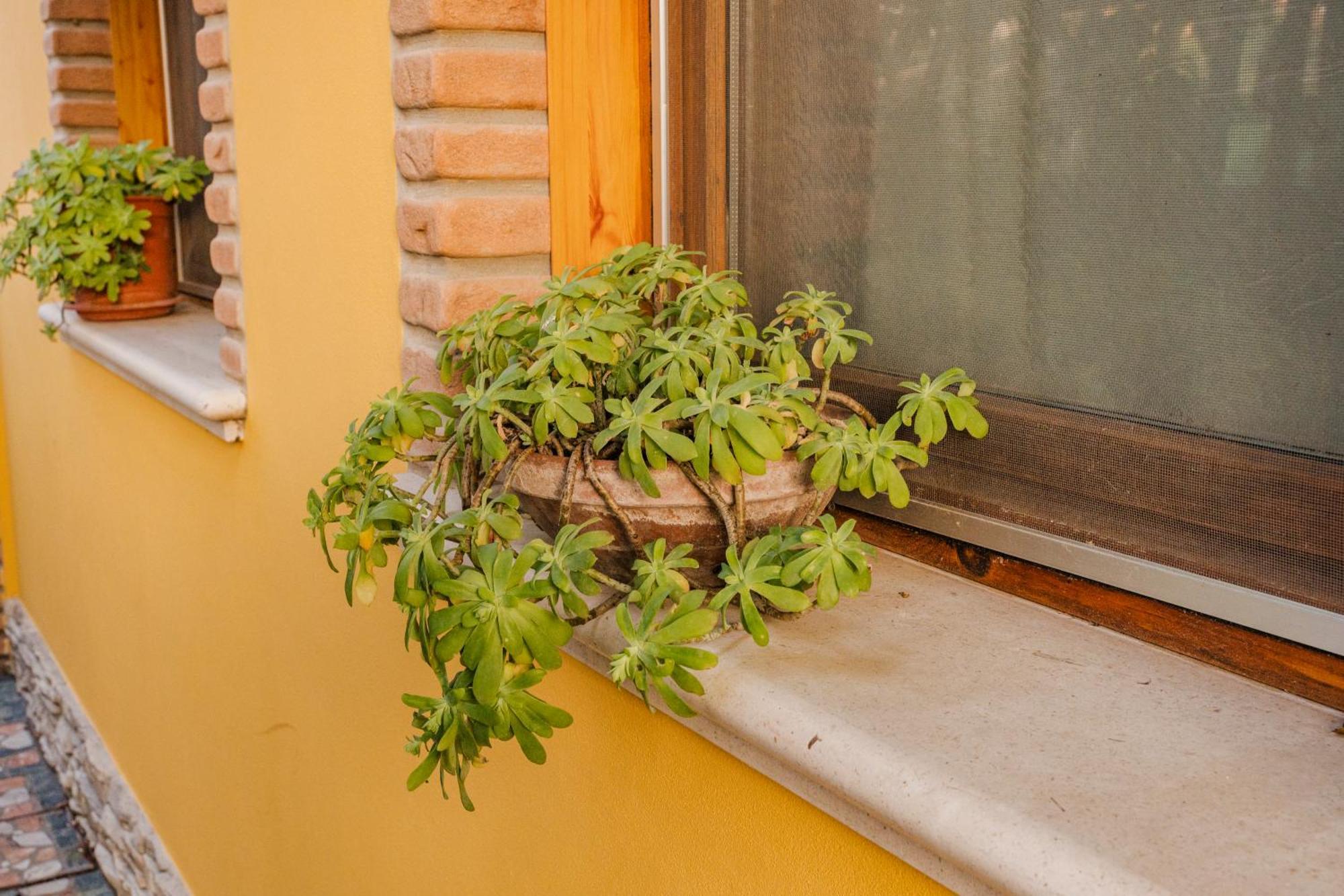 La Loggia Bed and Breakfast Comacchio Esterno foto